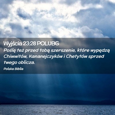 Picture 02 - Wyjścia 23:28 POLUBG - Poślę też przed tobą szerszenie, które - Bible Verse Picture