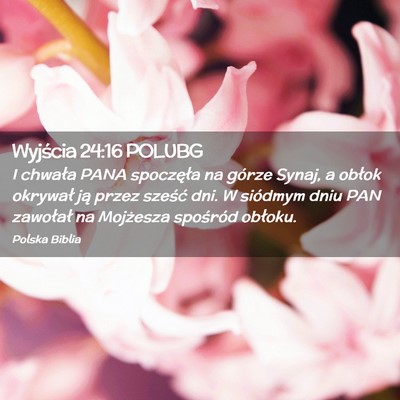 Picture 02 - Wyjścia 24:16 POLUBG - I chwała PANA spoczęła na górze Synaj, a - Bible Verse Picture