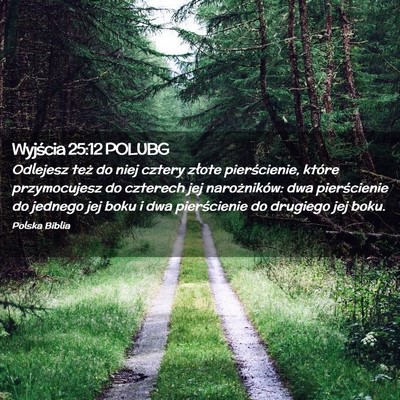 Picture 02 - Wyjścia 25:12 POLUBG - Odlejesz też do niej cztery złote pierścienie, - Bible Verse Picture