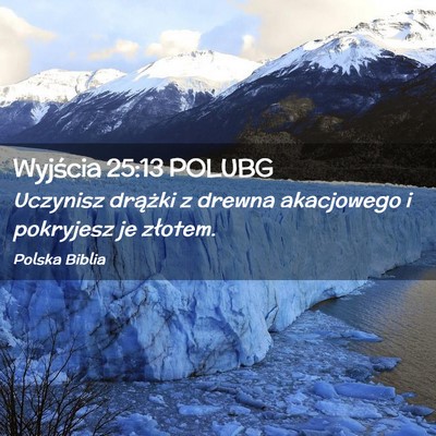 Picture 02 - Wyjścia 25:13 POLUBG - Uczynisz drążki z drewna akacjowego i pokryjesz - Bible Verse Picture