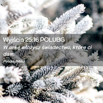 Picture 02 - Wyjścia 25:16 POLUBG - W arkę włożysz świadectwo, które ci - Bible Verse Picture
