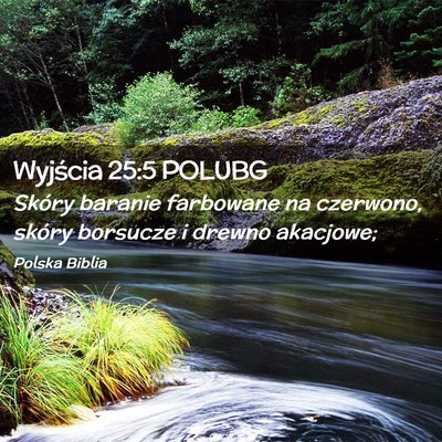 Picture 02 - Wyjścia 25:5 POLUBG - Skóry baranie farbowane na czerwono, skóry - Bible Verse Picture