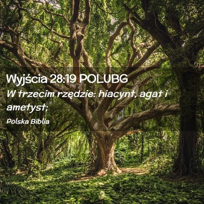 Picture 02 - Wyjścia 28:19 POLUBG - W trzecim rzędzie: hiacynt, agat i - Bible Verse Picture