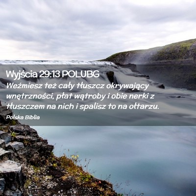 Picture 02 - Wyjścia 29:13 POLUBG - Weźmiesz też cały tłuszcz okrywający - Bible Verse Picture