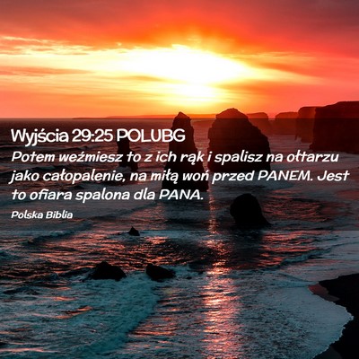 Picture 02 - Wyjścia 29:25 POLUBG - Potem weźmiesz to z ich rąk i spalisz na - Bible Verse Picture