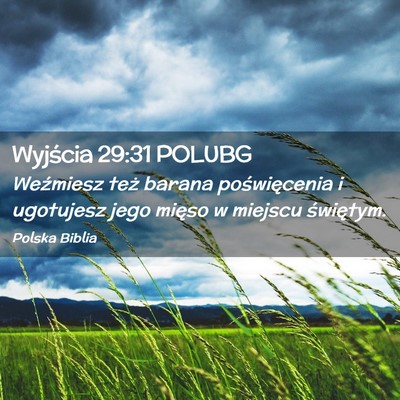Picture 02 - Wyjścia 29:31 POLUBG - Weźmiesz też barana poświęcenia i ugotujesz - Bible Verse Picture