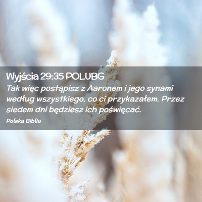 Picture 02 - Wyjścia 29:35 POLUBG - Tak więc postąpisz z Aaronem i jego synami - Bible Verse Picture