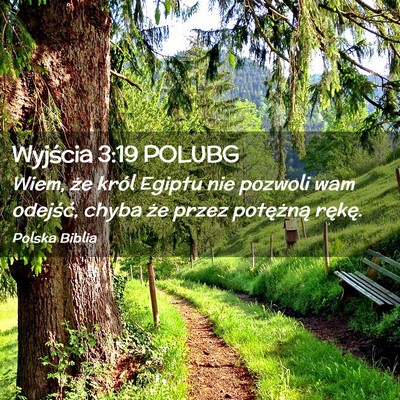 Picture 02 - Wyjścia 3:19 POLUBG - Wiem, że król Egiptu nie pozwoli wam odejść, - Bible Verse Picture