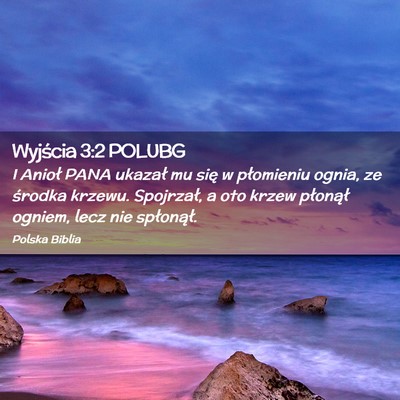 Picture 02 - Wyjścia 3:2 POLUBG - I Anioł PANA ukazał mu się w płomieniu ognia, - Bible Verse Picture