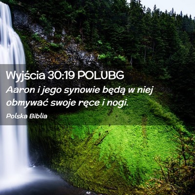 Picture 02 - Wyjścia 30:19 POLUBG - Aaron i jego synowie będą w niej obmywać swoje - Bible Verse Picture
