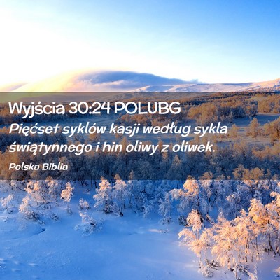 Picture 02 - Wyjścia 30:24 POLUBG - Pięćset syklów kasji według sykla - Bible Verse Picture