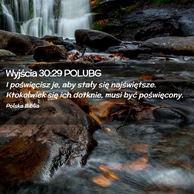 Picture 02 - Wyjścia 30:29 POLUBG - I poświęcisz je, aby stały się najświętsze. - Bible Verse Picture