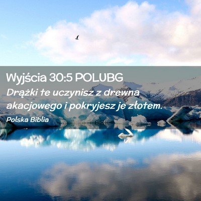 Picture 02 - Wyjścia 30:5 POLUBG - Drążki te uczynisz z drewna akacjowego i - Bible Verse Picture