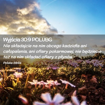 Picture 02 - Wyjścia 30:9 POLUBG - Nie składajcie na nim obcego kadzidła ani - Bible Verse Picture