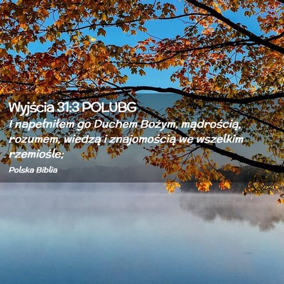 Picture 02 - Wyjścia 31:3 POLUBG - I napełniłem go Duchem Bożym, mądrością, - Bible Verse Picture