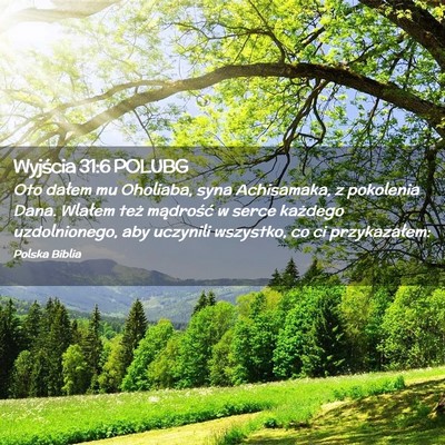 Picture 02 - Wyjścia 31:6 POLUBG - Oto dałem mu Oholiaba, syna Achisamaka, z - Bible Verse Picture