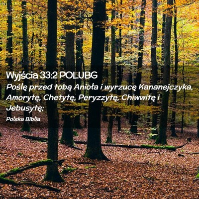 Picture 02 - Wyjścia 33:2 POLUBG - Poślę przed tobą Anioła i wyrzucę - Bible Verse Picture
