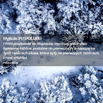 Picture 02 - Wyjścia 34:1 POLUBG - I PAN powiedział do Mojżesza: Wyciosaj sobie - Bible Verse Picture