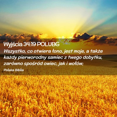 Picture 02 - Wyjścia 34:19 POLUBG - Wszystko, co otwiera łono, jest moje, a także - Bible Verse Picture
