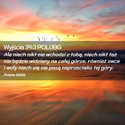 Picture 02 - Wyjścia 34:3 POLUBG - Ale niech nikt nie wchodzi z tobą, niech nikt - Bible Verse Picture