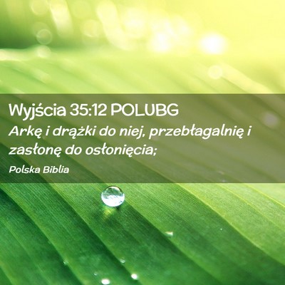 Picture 02 - Wyjścia 35:12 POLUBG - Arkę i drążki do niej, przebłagalnię i - Bible Verse Picture