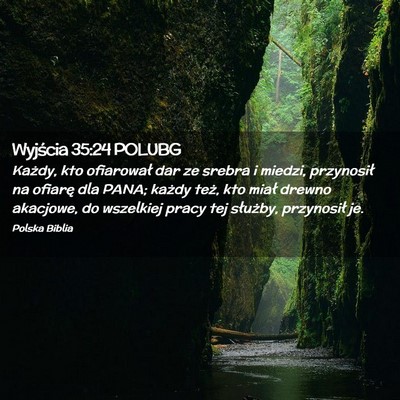 Picture 02 - Wyjścia 35:24 POLUBG - Każdy, kto ofiarował dar ze srebra i miedzi, - Bible Verse Picture