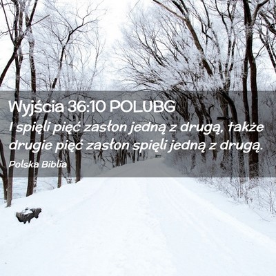 Picture 02 - Wyjścia 36:10 POLUBG - I spięli pięć zasłon jedną z drugą, także - Bible Verse Picture