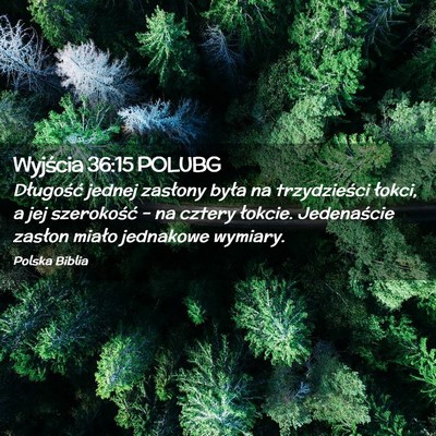 Picture 02 - Wyjścia 36:15 POLUBG - Długość jednej zasłony była na trzydzieści - Bible Verse Picture