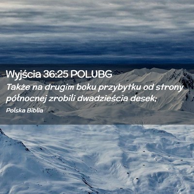 Picture 02 - Wyjścia 36:25 POLUBG - Także na drugim boku przybytku od strony - Bible Verse Picture