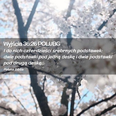 Picture 02 - Wyjścia 36:26 POLUBG - I do nich czterdzieści srebrnych podstawek: dwie - Bible Verse Picture