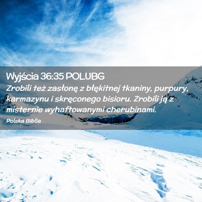 Picture 02 - Wyjścia 36:35 POLUBG - Zrobili też zasłonę z błękitnej tkaniny, - Bible Verse Picture