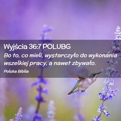 Picture 02 - Wyjścia 36:7 POLUBG - Bo to, co mieli, wystarczyło do wykonania - Bible Verse Picture