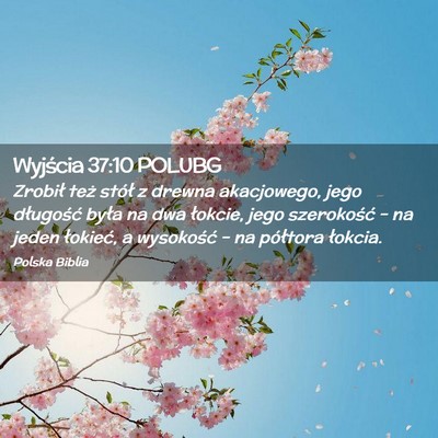Picture 02 - Wyjścia 37:10 POLUBG - Zrobił też stół z drewna akacjowego, jego - Bible Verse Picture
