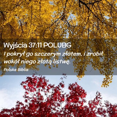 Picture 02 - Wyjścia 37:11 POLUBG - I pokrył go szczerym złotem, i zrobił wokół - Bible Verse Picture