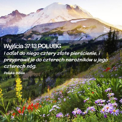 Picture 02 - Wyjścia 37:13 POLUBG - I odlał do niego cztery złote pierścienie, i - Bible Verse Picture