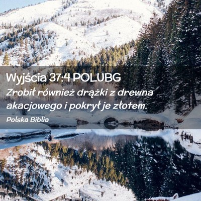 Picture 02 - Wyjścia 37:4 POLUBG - Zrobił również drążki z drewna akacjowego i - Bible Verse Picture