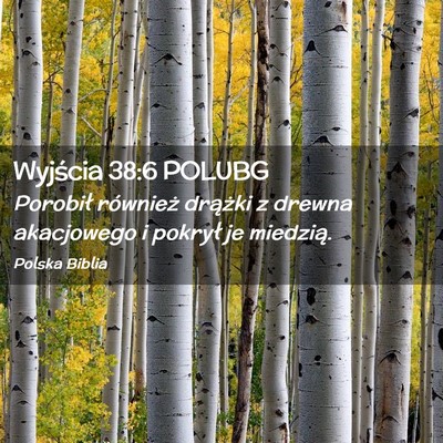 Picture 02 - Wyjścia 38:6 POLUBG - Porobił również drążki z drewna akacjowego i - Bible Verse Picture