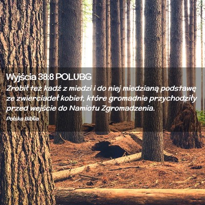 Picture 02 - Wyjścia 38:8 POLUBG - Zrobił też kadź z miedzi i do niej miedzianą - Bible Verse Picture