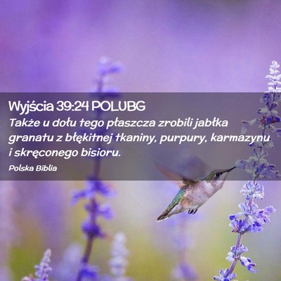 Picture 02 - Wyjścia 39:24 POLUBG - Także u dołu tego płaszcza zrobili jabłka - Bible Verse Picture