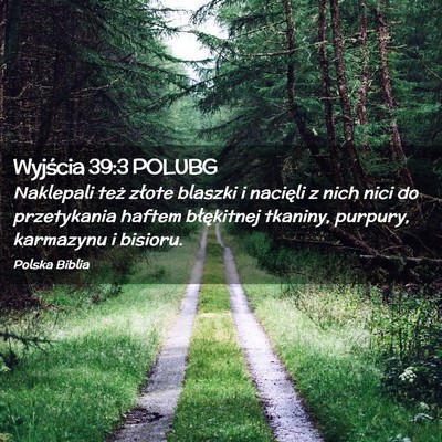 Picture 02 - Wyjścia 39:3 POLUBG - Naklepali też złote blaszki i nacięli z nich - Bible Verse Picture