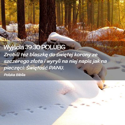 Picture 02 - Wyjścia 39:30 POLUBG - Zrobili też blaszkę do świętej korony ze - Bible Verse Picture