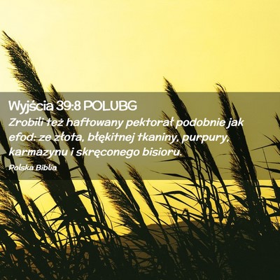 Picture 02 - Wyjścia 39:8 POLUBG - Zrobili też haftowany pektorał podobnie jak - Bible Verse Picture