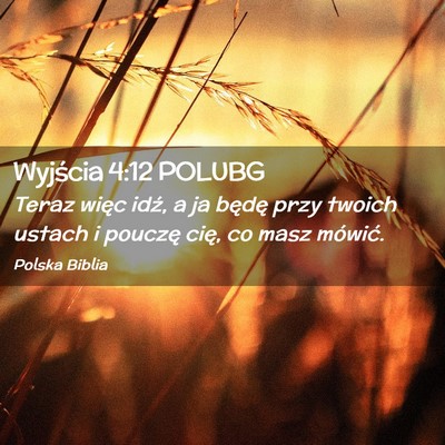 Picture 02 - Wyjścia 4:12 POLUBG - Teraz więc idź, a ja będę przy twoich ustach - Bible Verse Picture