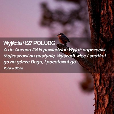 Picture 02 - Wyjścia 4:27 POLUBG - A do Aarona PAN powiedział: Wyjdź naprzeciw - Bible Verse Picture