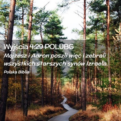 Picture 02 - Wyjścia 4:29 POLUBG - Mojżesz i Aaron poszli więc i zebrali - Bible Verse Picture