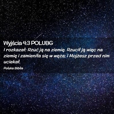 Picture 02 - Wyjścia 4:3 POLUBG - I rozkazał: Rzuć ją na ziemię. Rzucił ją - Bible Verse Picture