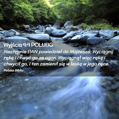 Picture 02 - Wyjścia 4:4 POLUBG - Następnie PAN powiedział do Mojżesza: - Bible Verse Picture