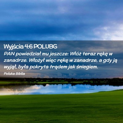 Picture 02 - Wyjścia 4:6 POLUBG - PAN powiedział mu jeszcze: Włóż teraz rękę - Bible Verse Picture