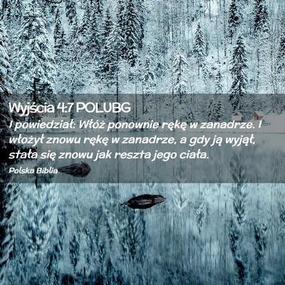 Picture 02 - Wyjścia 4:7 POLUBG - I powiedział: Włóż ponownie rękę w - Bible Verse Picture