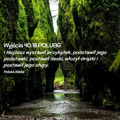 Picture 02 - Wyjścia 40:18 POLUBG - I Mojżesz wystawił przybytek, podstawił jego - Bible Verse Picture